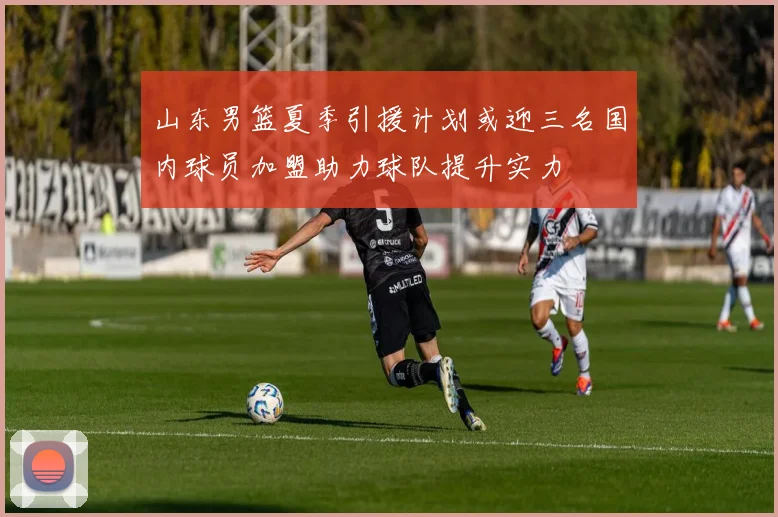 山东男篮夏季引援计划或迎三名国内球员加盟助力球队提升实力