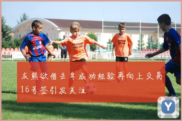 灰熊欲借去年成功经验再向上交易16号签引发关注
