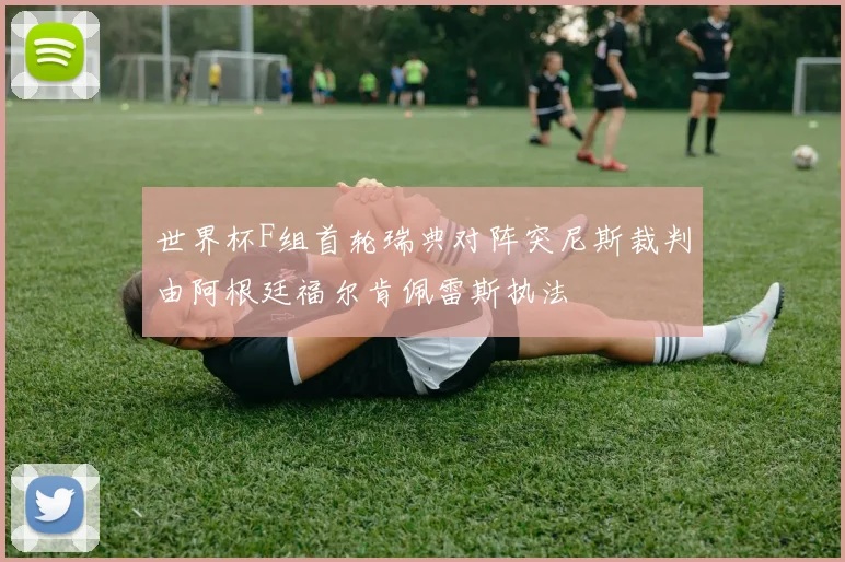 世界杯F组首轮瑞典对阵突尼斯裁判由阿根廷福尔肯佩雷斯执法